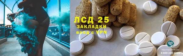 ГАЛЛЮЦИНОГЕННЫЕ ГРИБЫ Осташков
